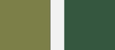 Colours: Pure Olive and Strong Green Colours: Pure Olive and Strong Green